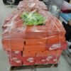 Nike shoes pallet